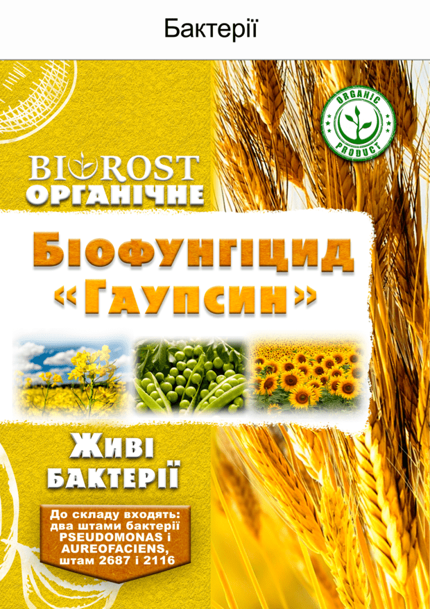 Гаупсин (Gaupsin)